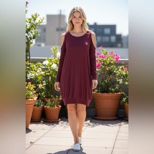 Express Burgundy Dress